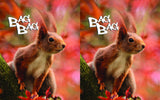 БагБаг торбичка Squirrel - 2