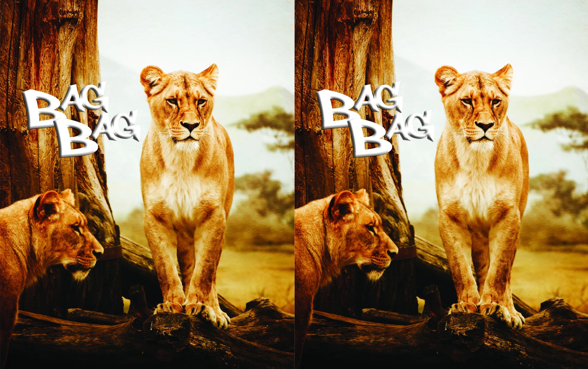 БагБаг торбичка Lioness - 2