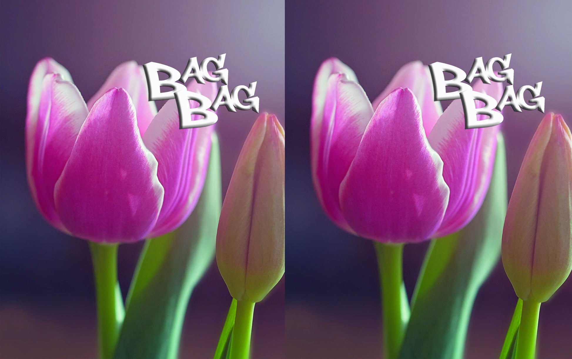 БагБаг торбичка Tulip - 2