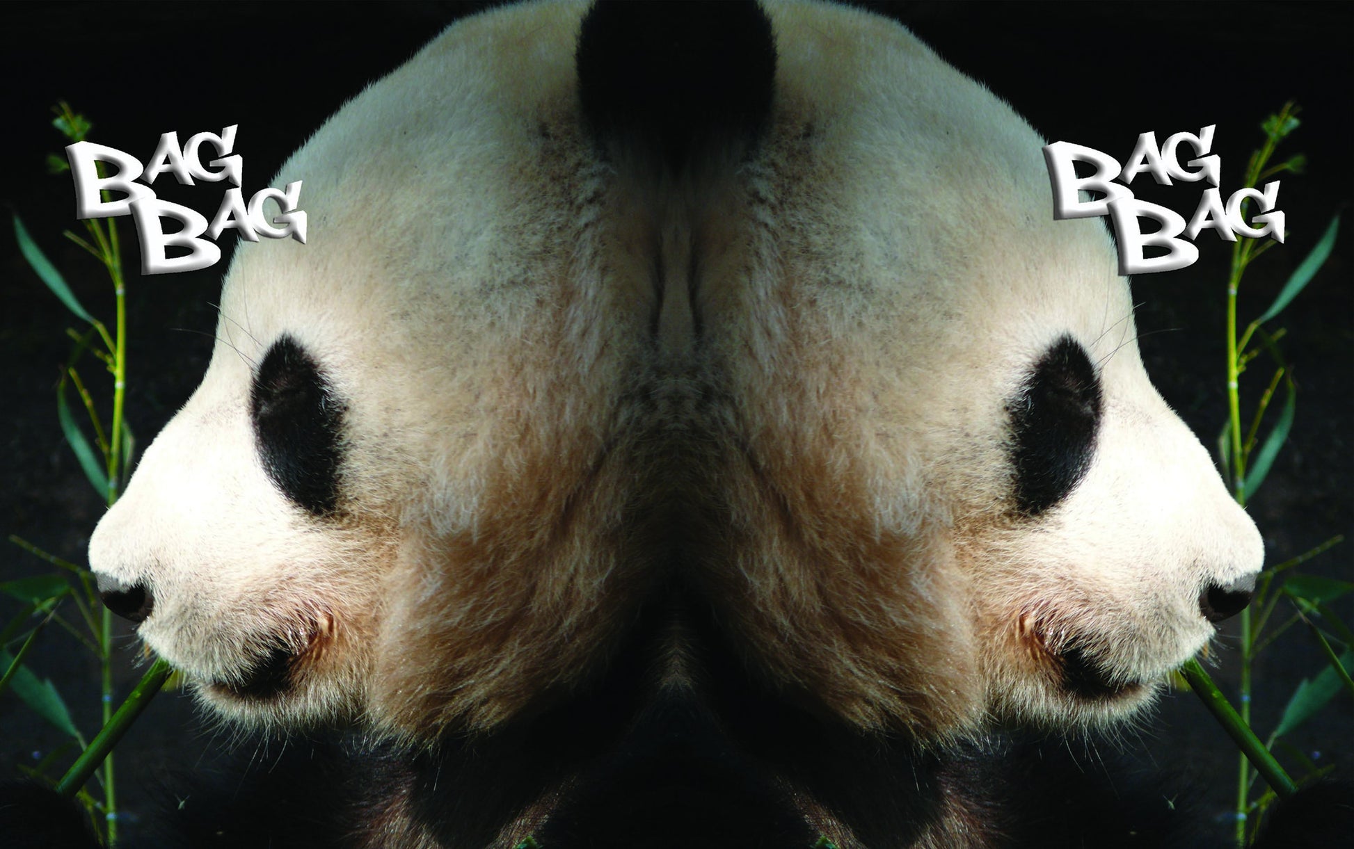 БагБаг торбичка PandAaA - 2