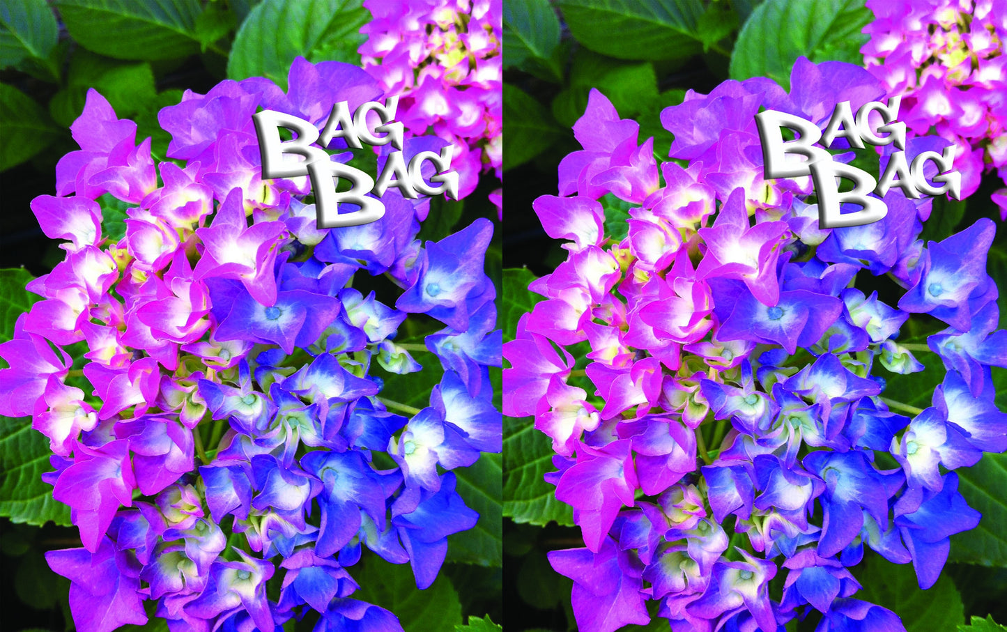 БагБаг торбичка Hydrangea - 2