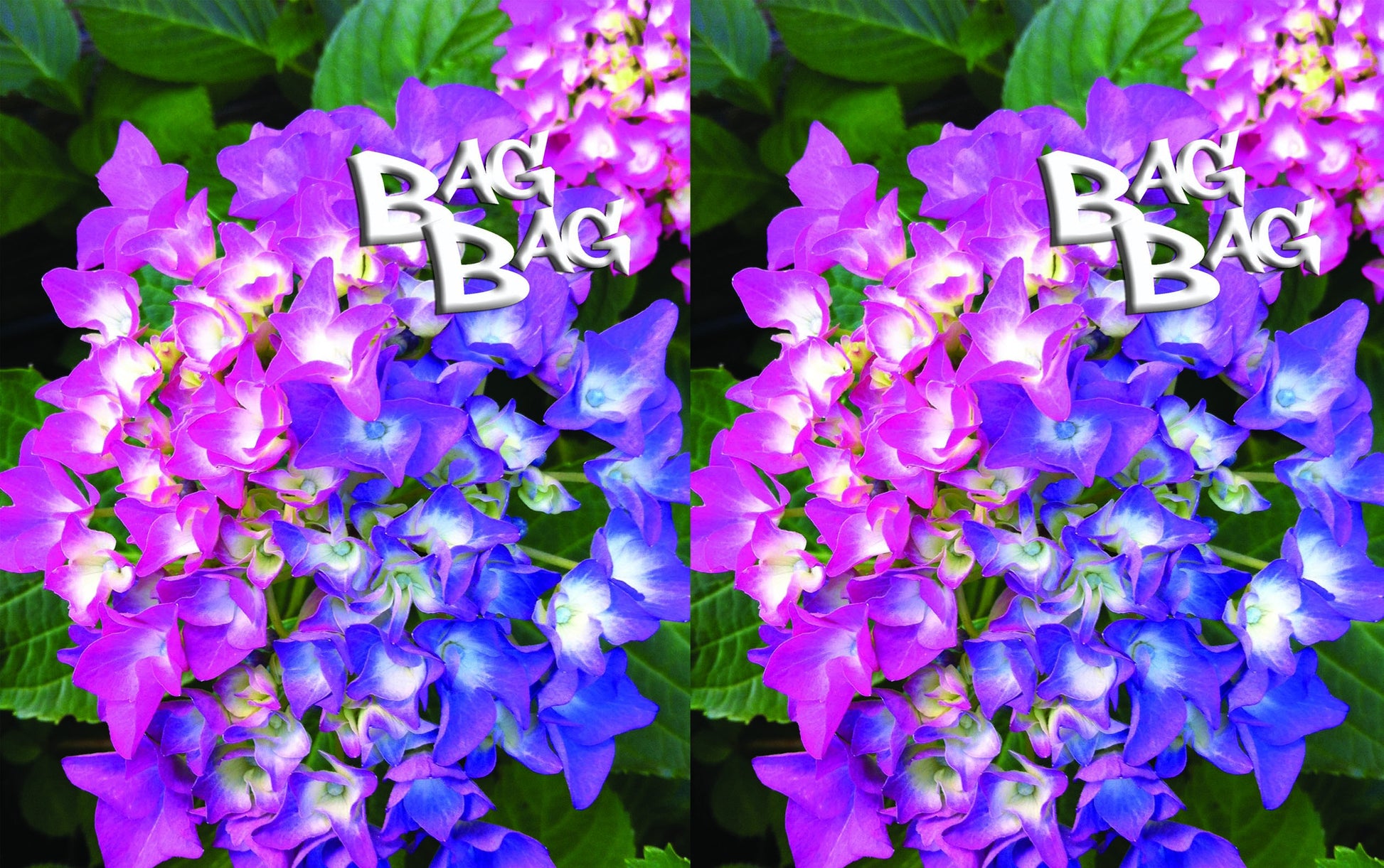 БагБаг торбичка Hydrangea - 2
